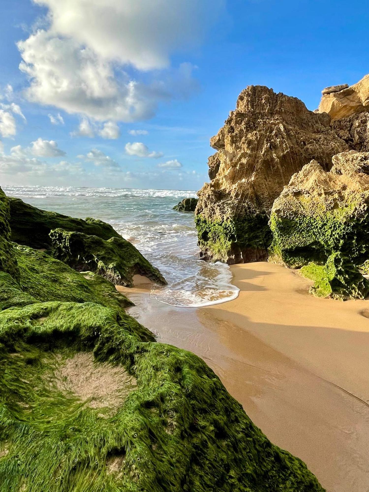California Dream Inn ألخيزور المظهر الخارجي الصورة