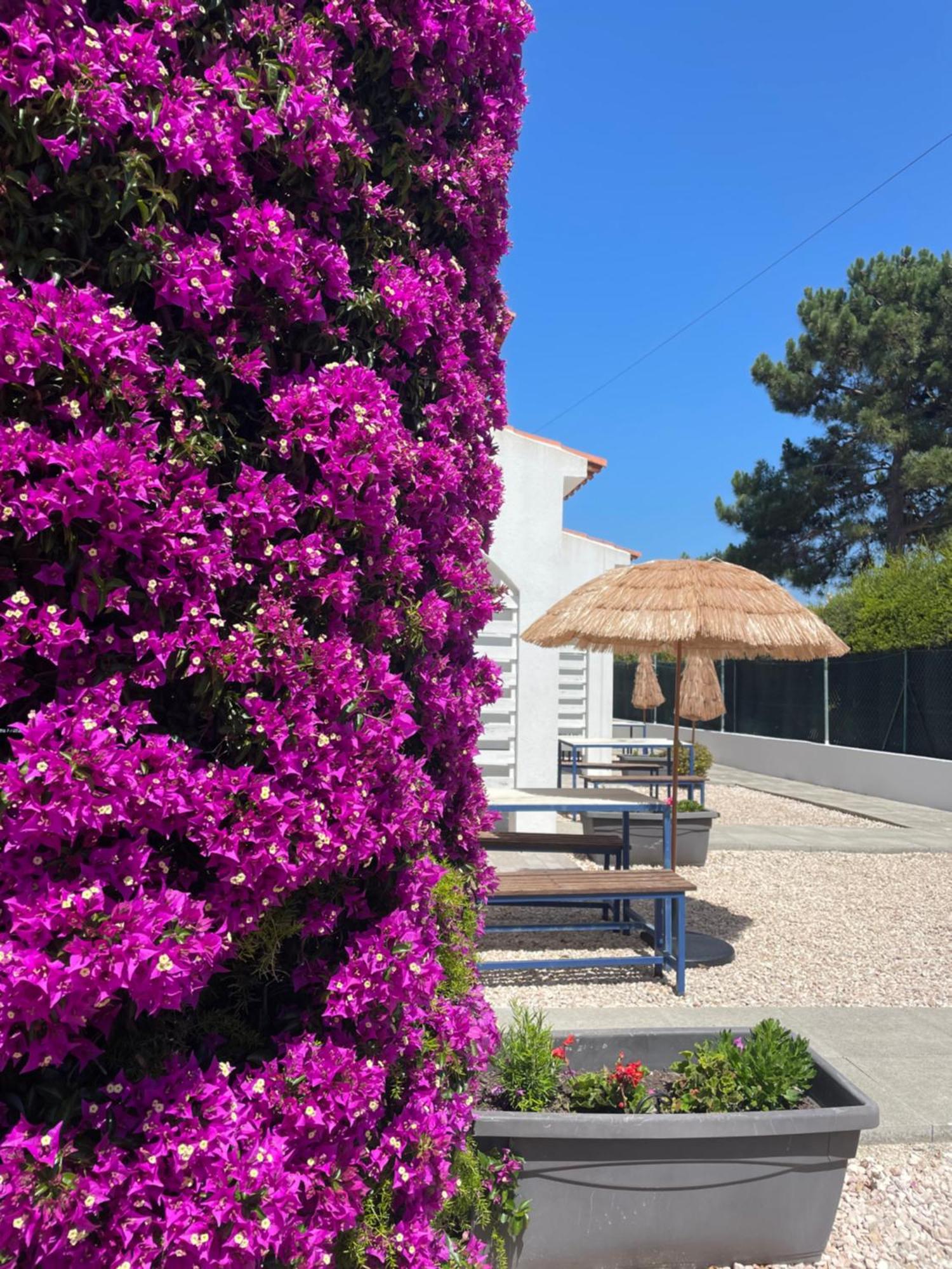 California Dream Inn ألخيزور المظهر الخارجي الصورة